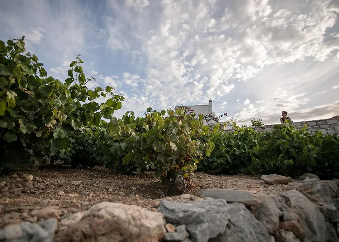 וילה Athina Ambrami