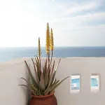 Athina Villa *