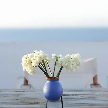 Athina Villa *