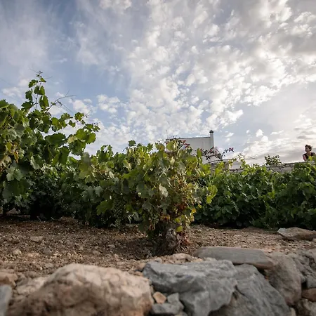 Willa Athina Ambrami